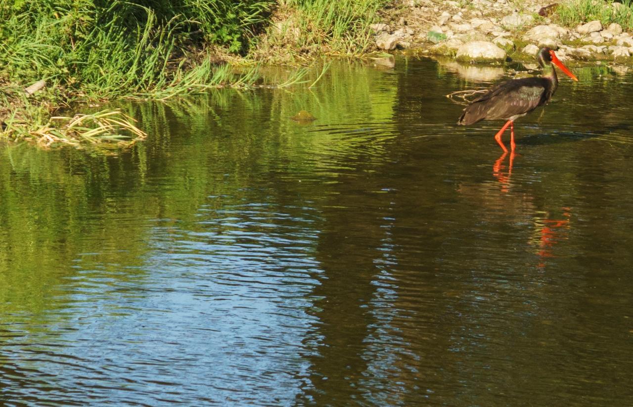 Perperеshka River Villas Stremtsi Buitenkant foto